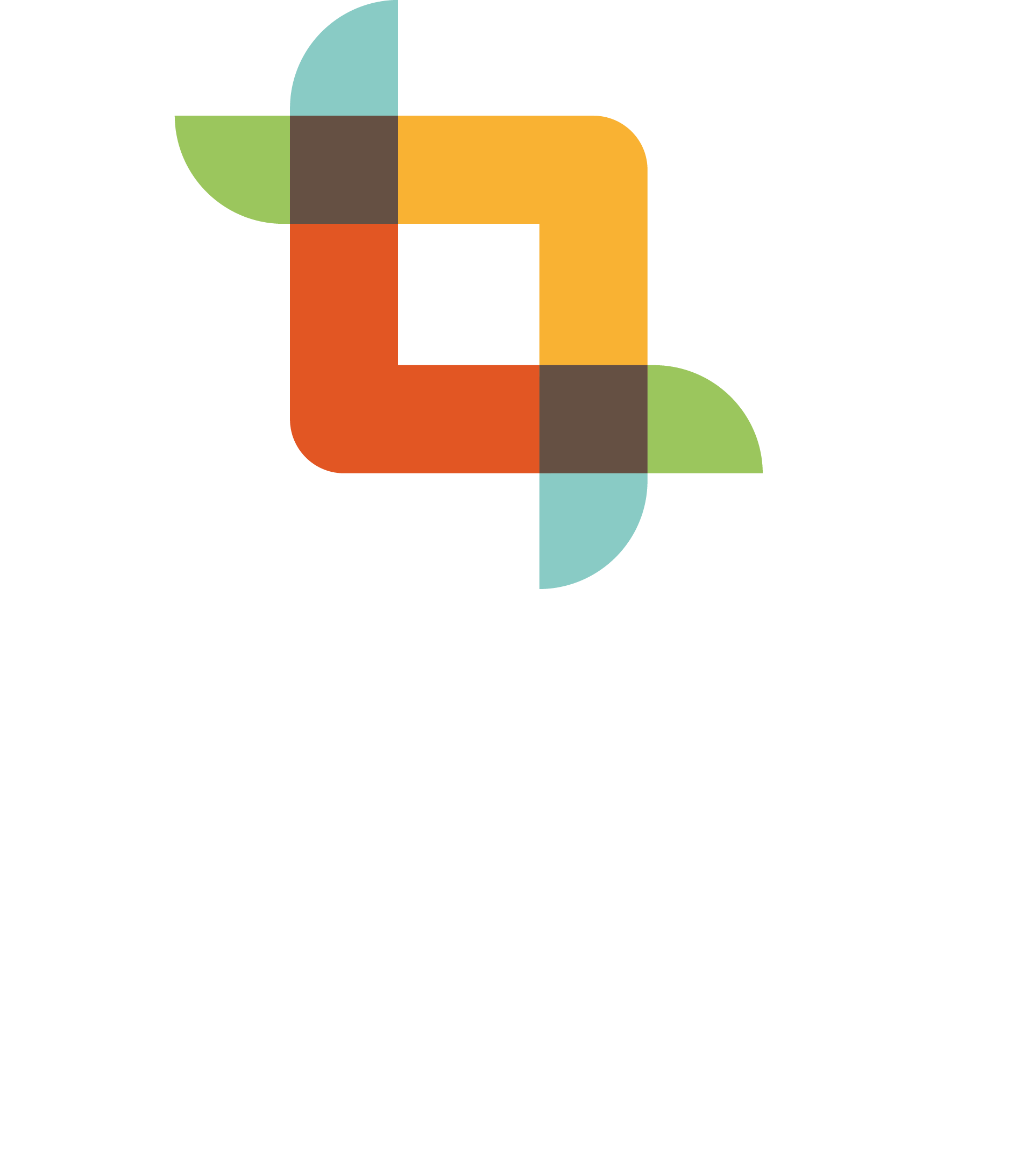 FFPMI